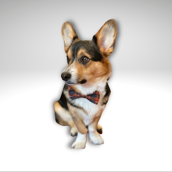 Sale! Rose Gold Geometric Corgi Necklace - Picture 5 of 5